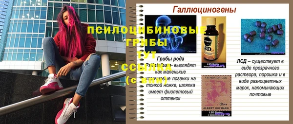 ешки Алзамай