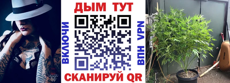 хочу наркоту  Жирновск  Бошки марихуана THC 21% 